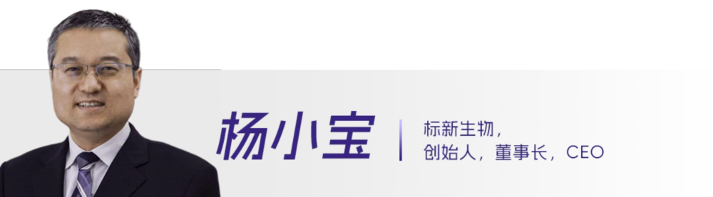 22 杨小宝.webp