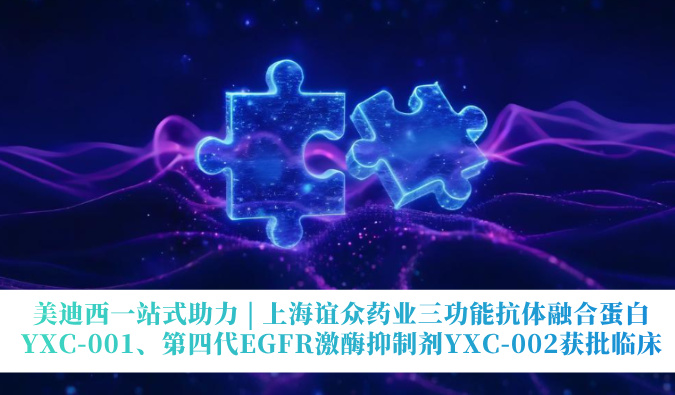 美迪西一站式助力 | 上海谊众药业三功能抗体融合蛋白YXC-001、第四代EGFR激酶抑制剂YXC-002获批临床