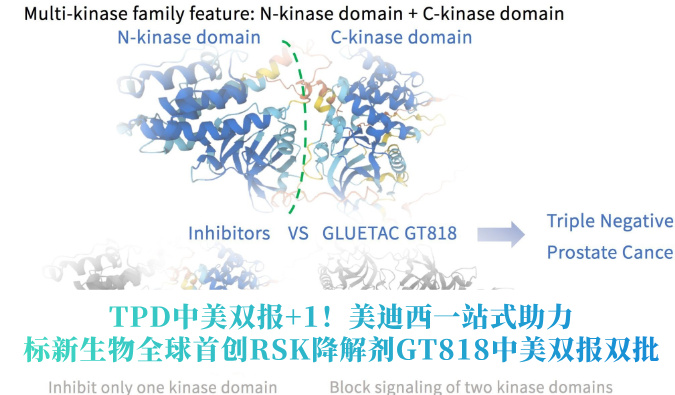 TPD中美双报+1！美迪西一站式助力标新生物全球首创RSK降解剂GT818中美双报双批
