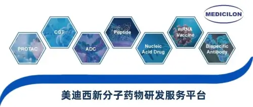 美迪西新分子药物研发服务平台.webp