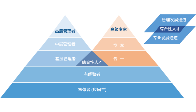 Dual-channel development of talent ranks